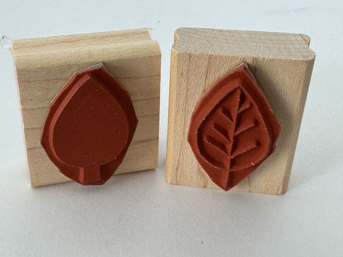 Stampin Up Rubber Stamps Elm Leaves Fall Leaf Two Step Shapes Shadows Card Craft
