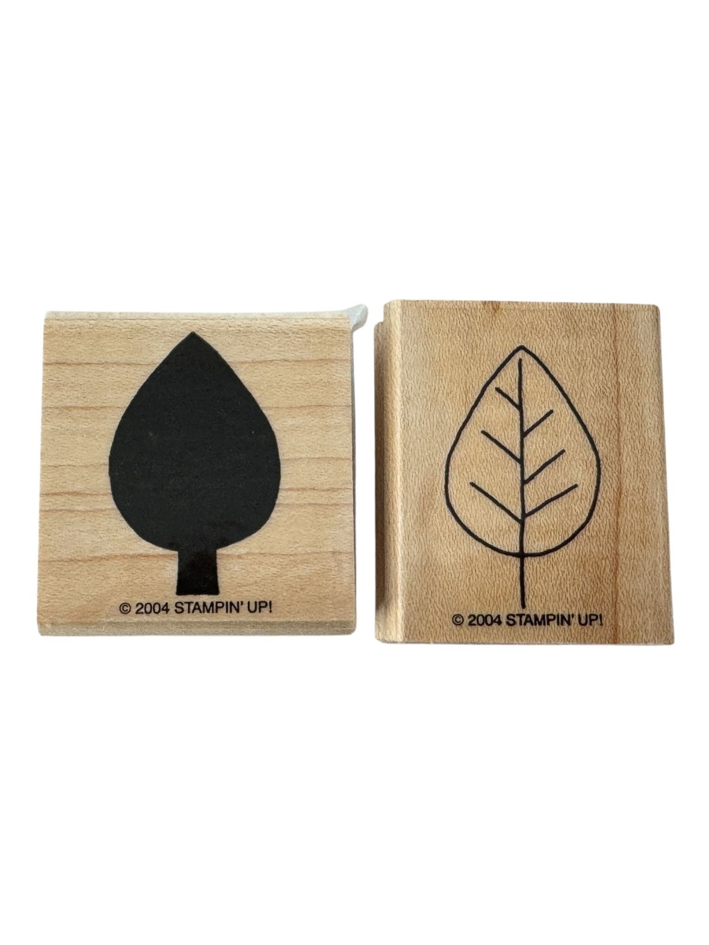 Stampin Up Rubber Stamps Elm Leaves Fall Leaf Two Step Shapes Shadows Card Craft