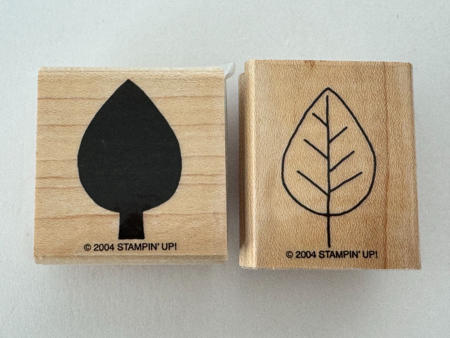 Stampin Up Rubber Stamps Elm Leaves Fall Leaf Two Step Shapes Shadows Card Craft