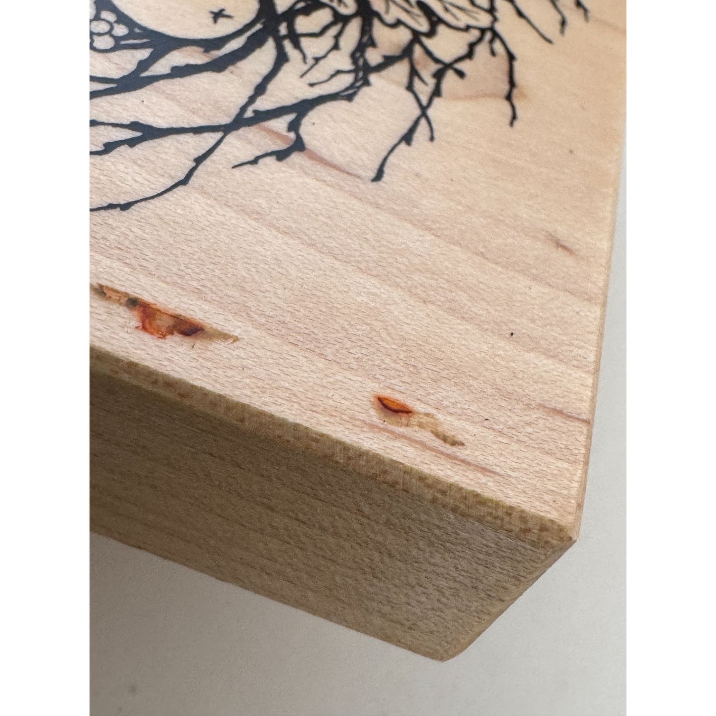 PSX Rubber Stamp Fruit Twig Wreath Fruit Harvest Pear Orange Fall Country K-1541
