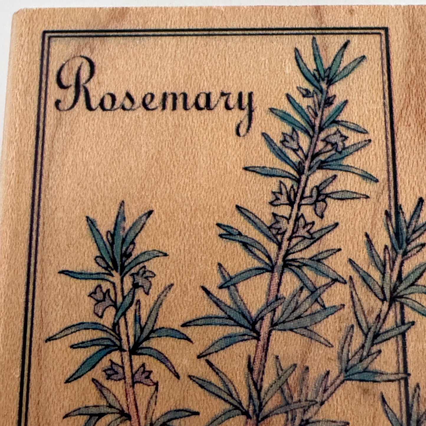 Rubber Stampede Wood Rubber Stamp Rosemary Herb Plant Savory Gardening Cooking
