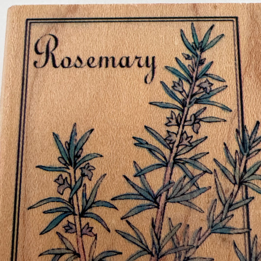 Rubber Stampede Wood Rubber Stamp Rosemary Herb Plant Savory Gardening Cooking