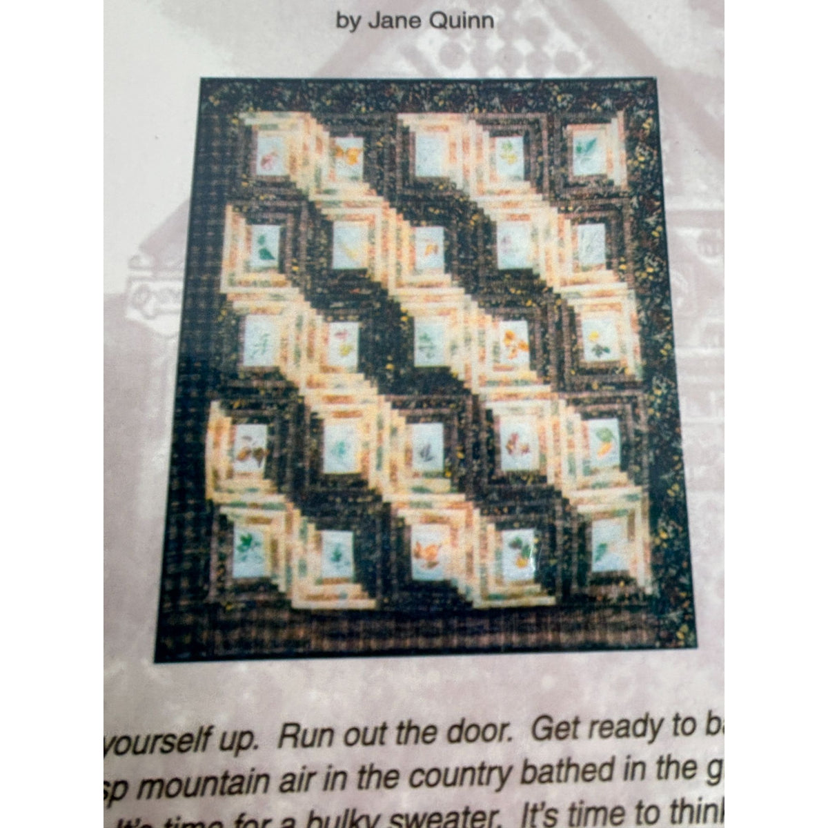 Autumn in the Bridger Mountains Quilt Pattern Jane Quinn Quilting in the Country