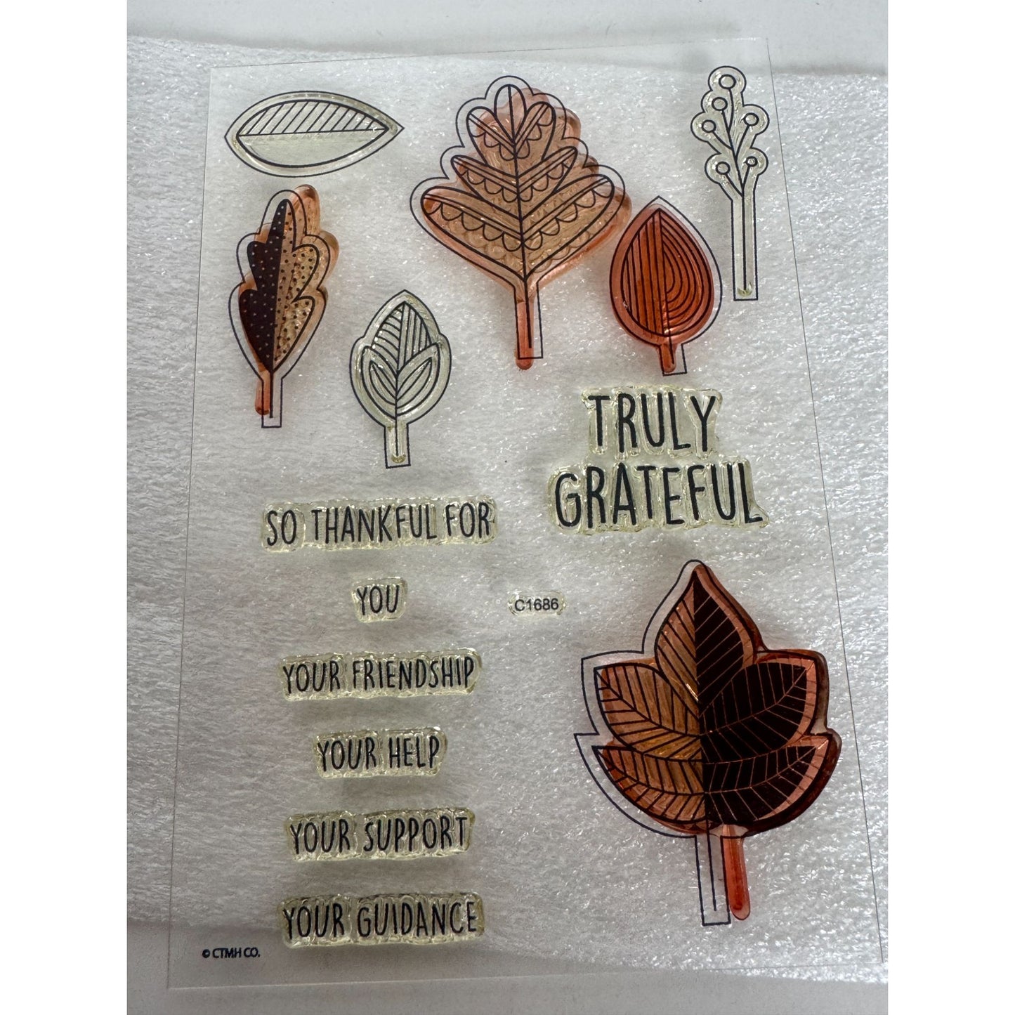 CTMH My Acrylix Acrylic Stamp Set Falling for You Cardmaking Fall Leaves C1686