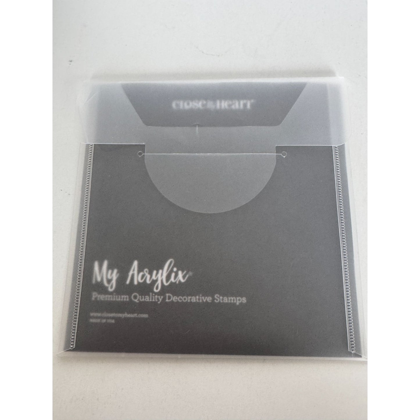 CTMH My Acrylix Acrylic Stamp Set Falling for You Cardmaking Fall Leaves C1686