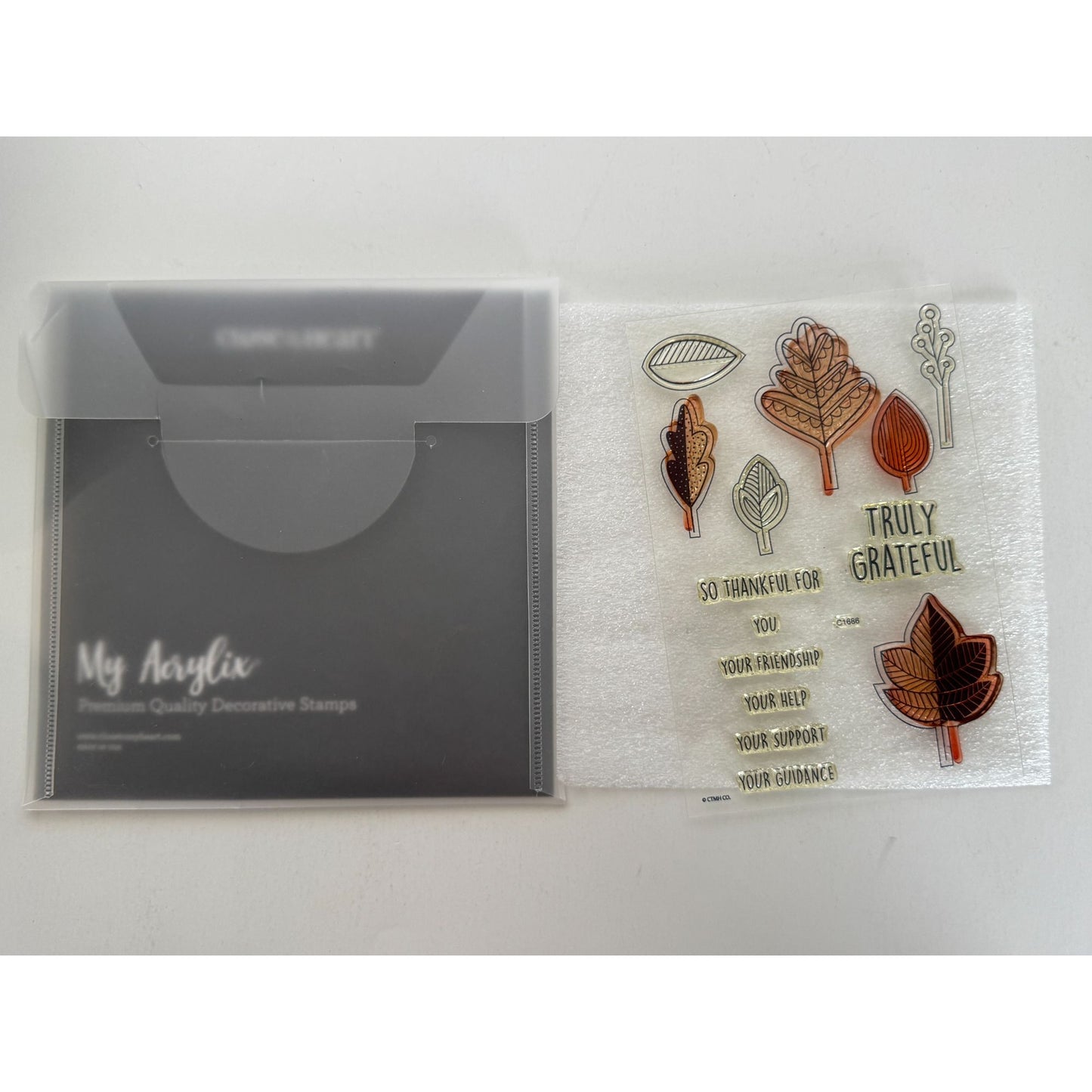 CTMH My Acrylix Acrylic Stamp Set Falling for You Cardmaking Fall Leaves C1686