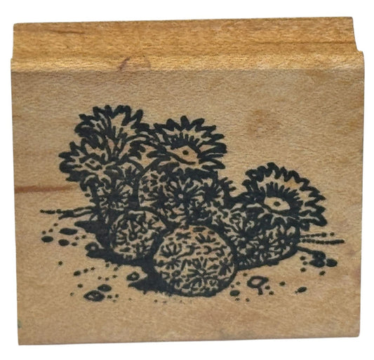 The Stamp Pad Rubber Stamp Floral Cactus Desert Scene Maker Landscape Nature