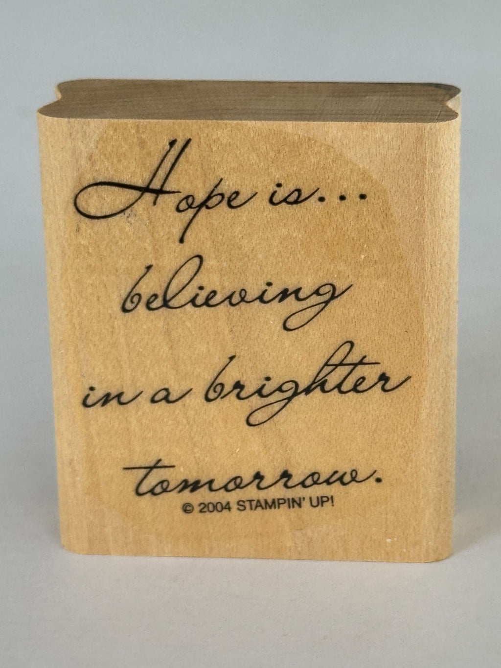 Stampin Up Rubber Stamp Hope Is Believing In A Brighter Tomorrow Card Making