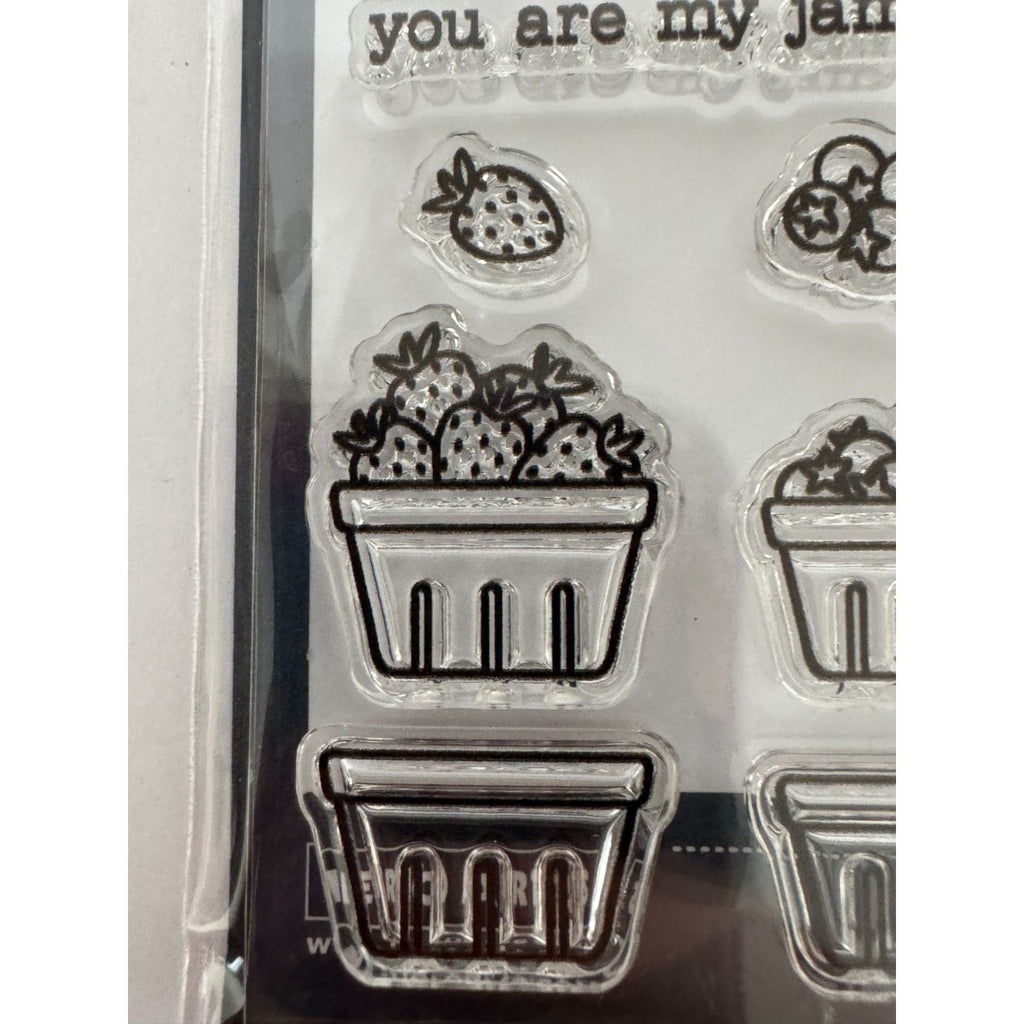 Hero Arts Clear Stamps Jam Packed Fruit Jar Canning Food Homesteading Gift Tag