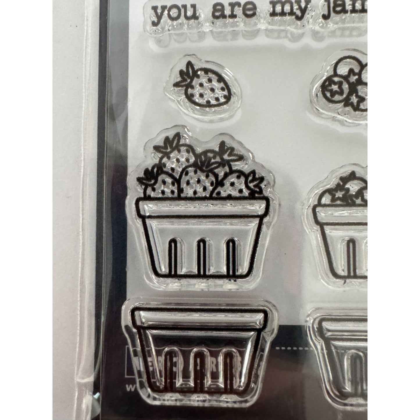 Hero Arts Clear Stamps Jam Packed Fruit Jar Canning Food Homesteading Gift Tag