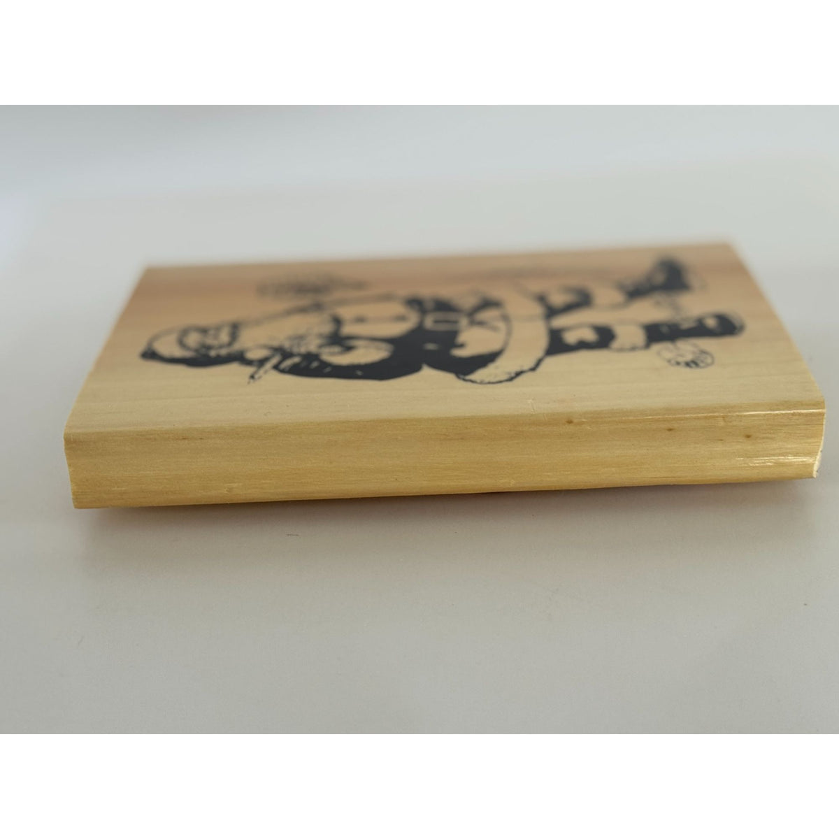 Anitas Rubber Stamp Santa Claus Naughty or Nice List Checking it Twice Large Big