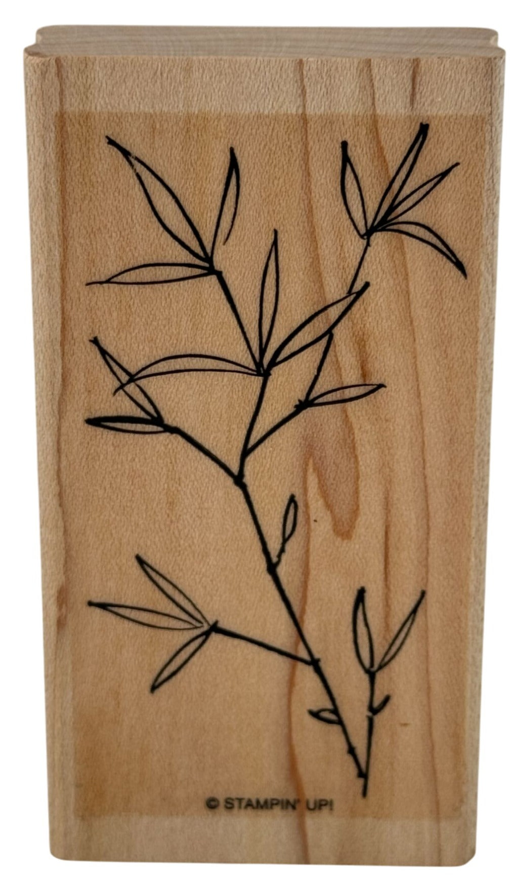 Stampin Up Rubber Stamp Bamboo Plant Background Nature Outdoors Card Making Wood
