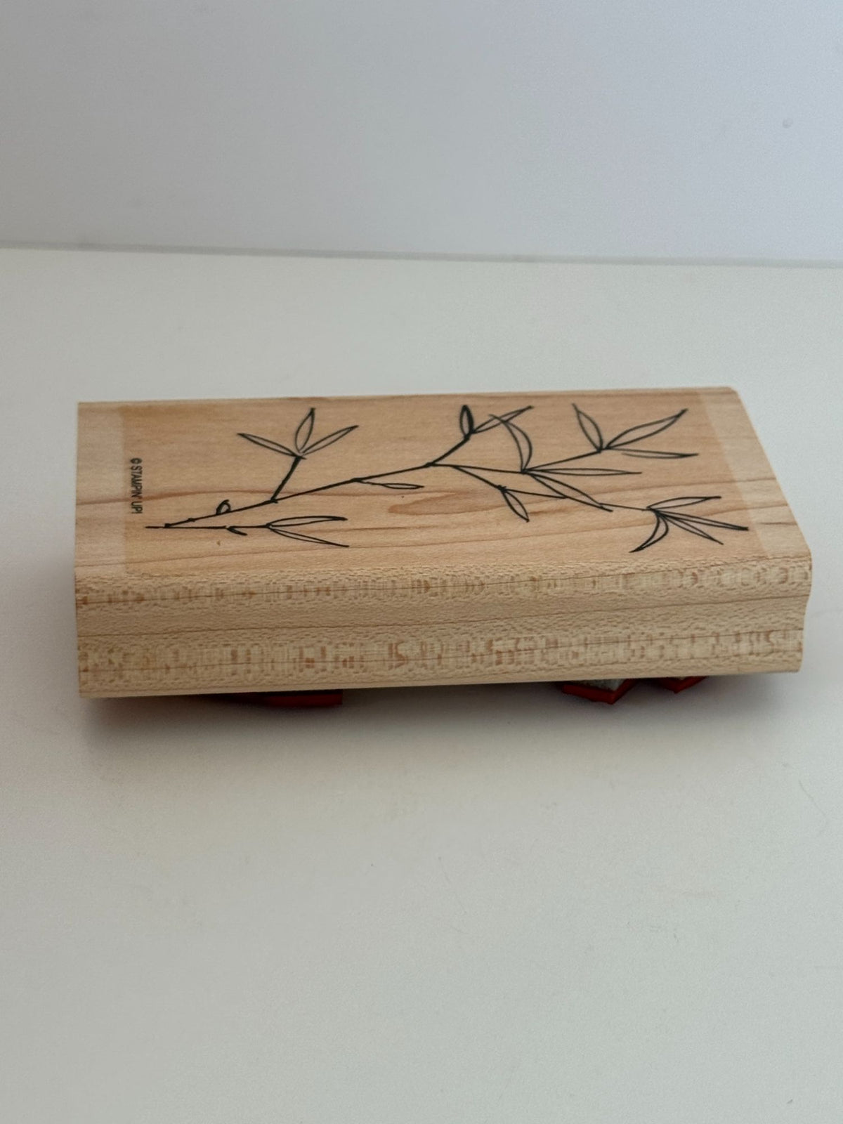Stampin Up Rubber Stamp Bamboo Plant Background Nature Outdoors Card Making Wood