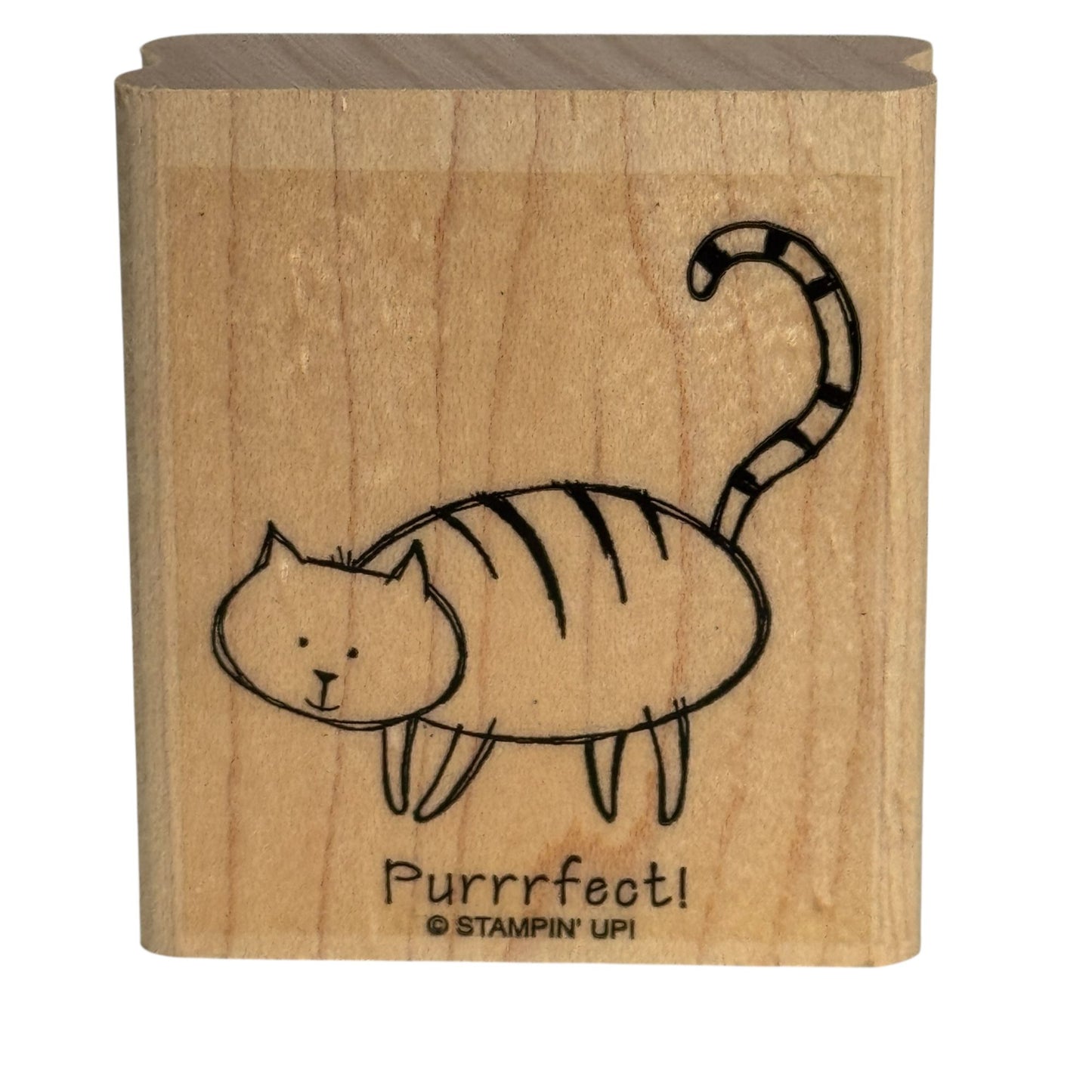 Stampin Up Wood Rubber Stamp Cat Pun Purrrfect Perfect Card Making Words Funny