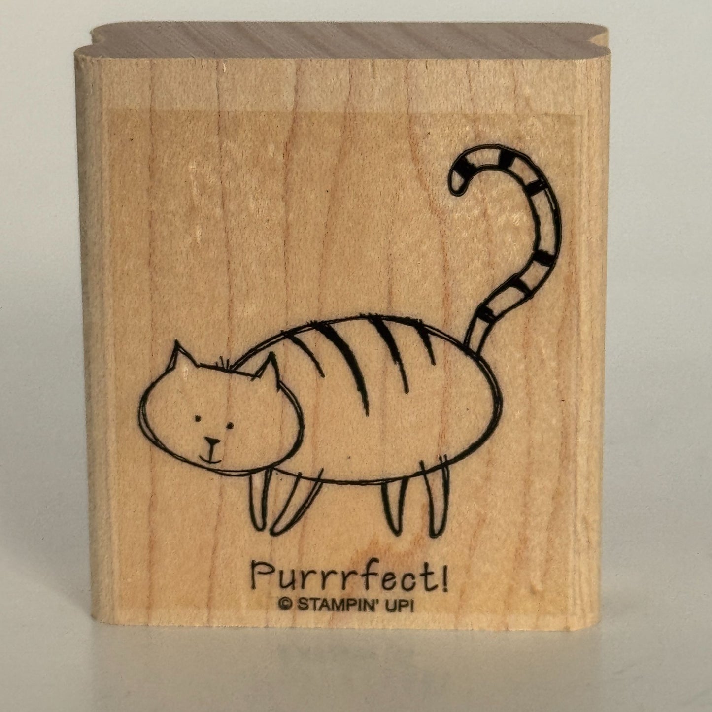 Stampin Up Wood Rubber Stamp Cat Pun Purrrfect Perfect Card Making Words Funny