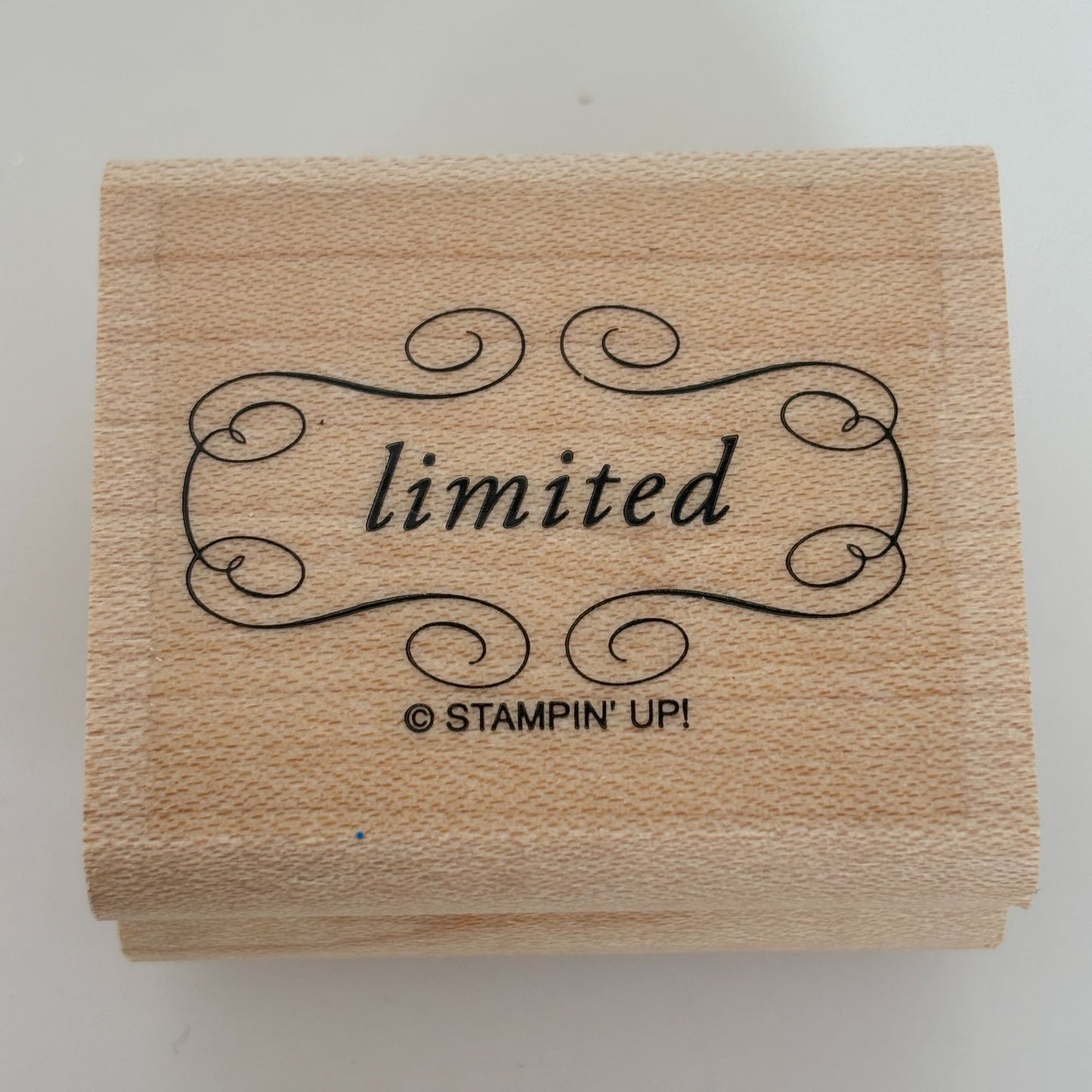 Stampin Up Rubber Stamp Limited Edition Scroll Fancy Words Business Tag Words
