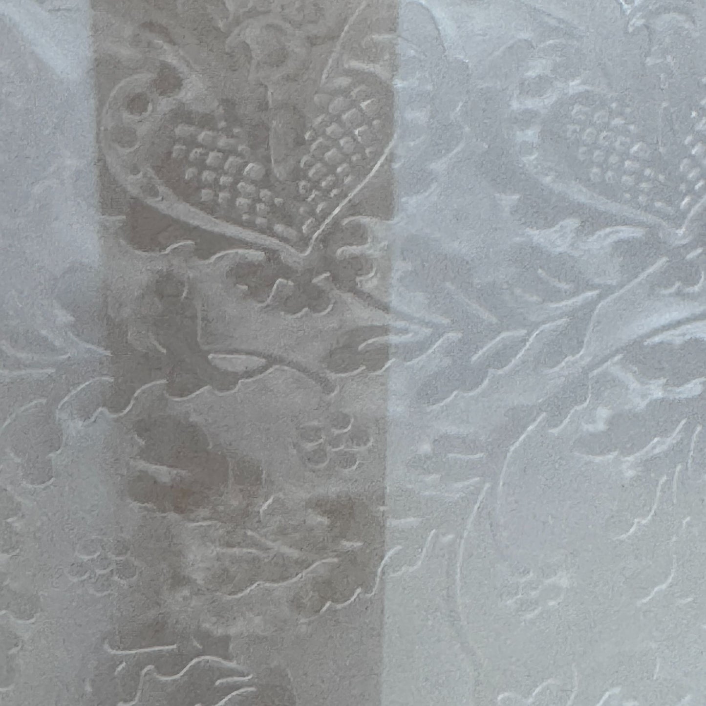 Cricut Cuttlebug Anna Griffin Jolie Lace Embossing Folder and Border Set Cardmaking Tool 5x7