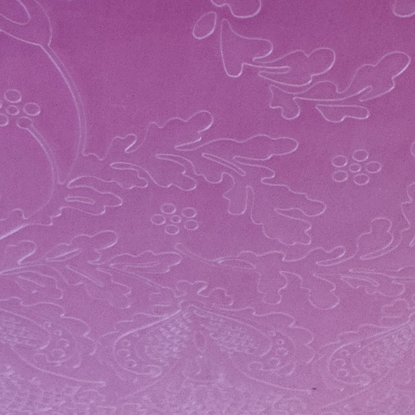 Cricut Cuttlebug Anna Griffin Jolie Lace Embossing Folder and Border Set Cardmaking Tool 5x7