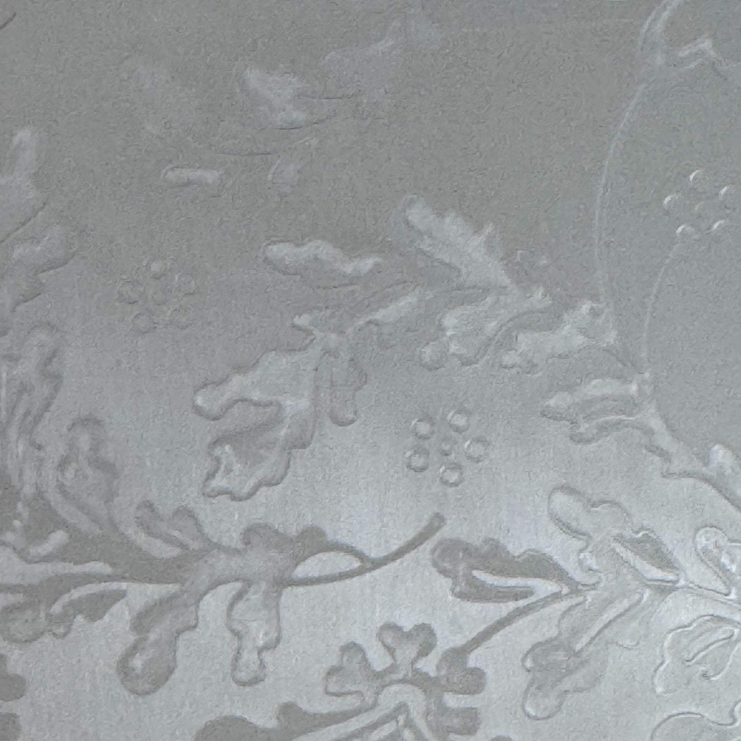 Cricut Cuttlebug Anna Griffin Jolie Lace Embossing Folder and Border Set Cardmaking Tool 5x7