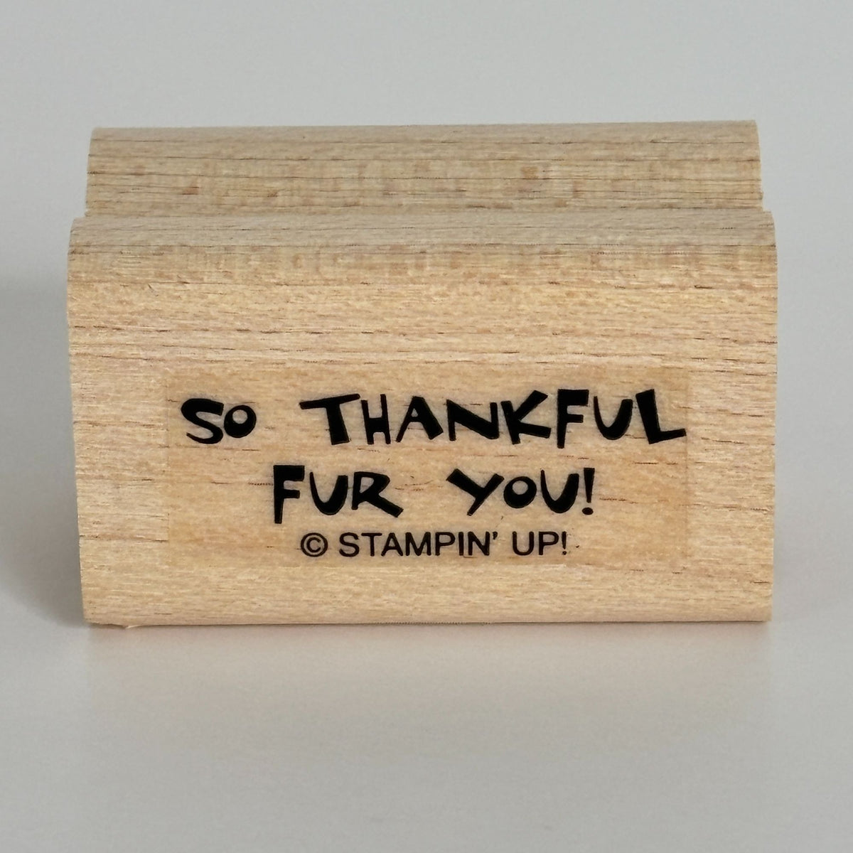 Stampin Up Rubber Stamps Season of Hugs Build A Bear Halloween Christmas Pirate Set