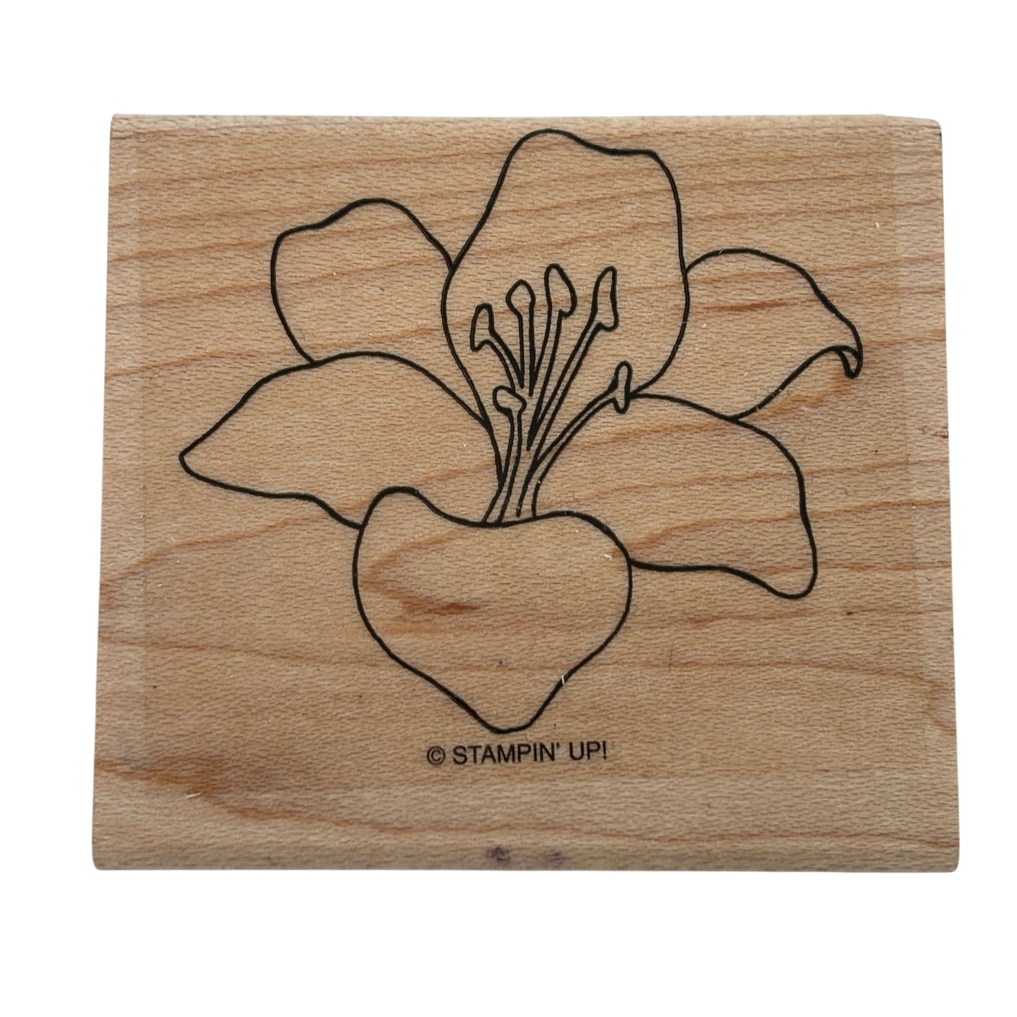 Stampin Up Wood Rubber Stamp Lily Flower Garden Spring Nature Easter Card Making