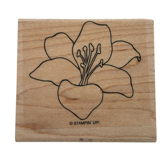 Stampin Up Wood Rubber Stamp Lily Flower Garden Spring Nature Easter Card Making