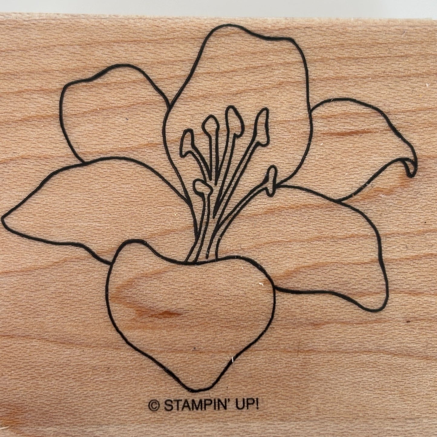 Stampin Up Wood Rubber Stamp Lily Flower Garden Spring Nature Easter Card Making