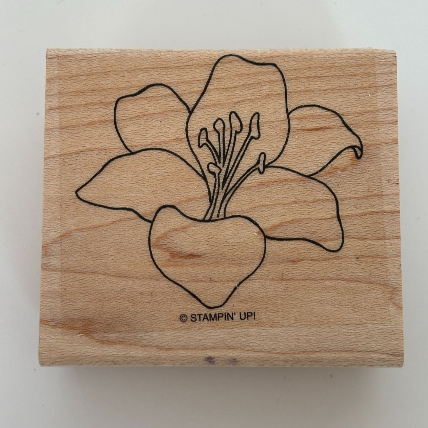 Stampin Up Wood Rubber Stamp Lily Flower Garden Spring Nature Easter Card Making