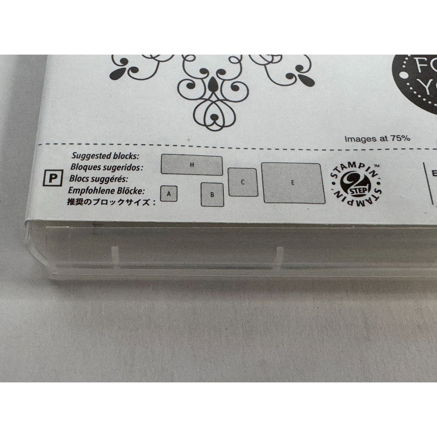 Stampin Up Letterpress Winter Stamp Set 8 Christmas For You Gift Tag Card Making