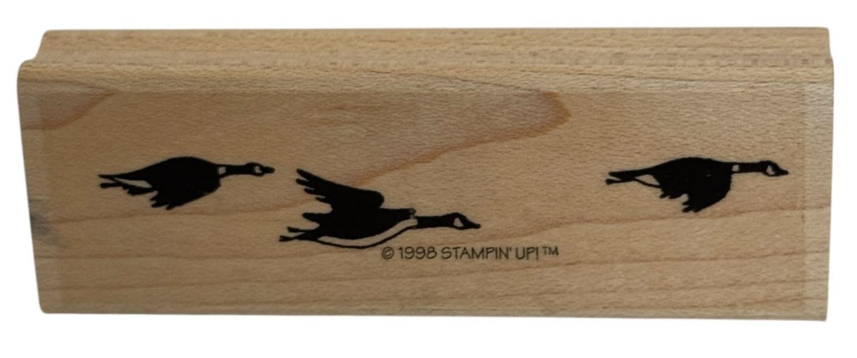 Stampin Up Rubber Stamp Canadian Geese Flying Border Nature Sky Card Making Art