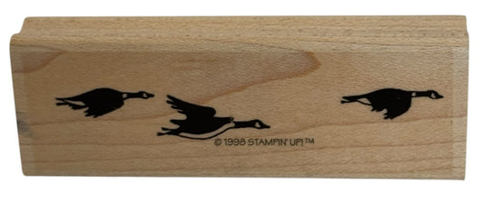 Stampin Up Rubber Stamp Canadian Geese Flying Border Nature Sky Card Making Art