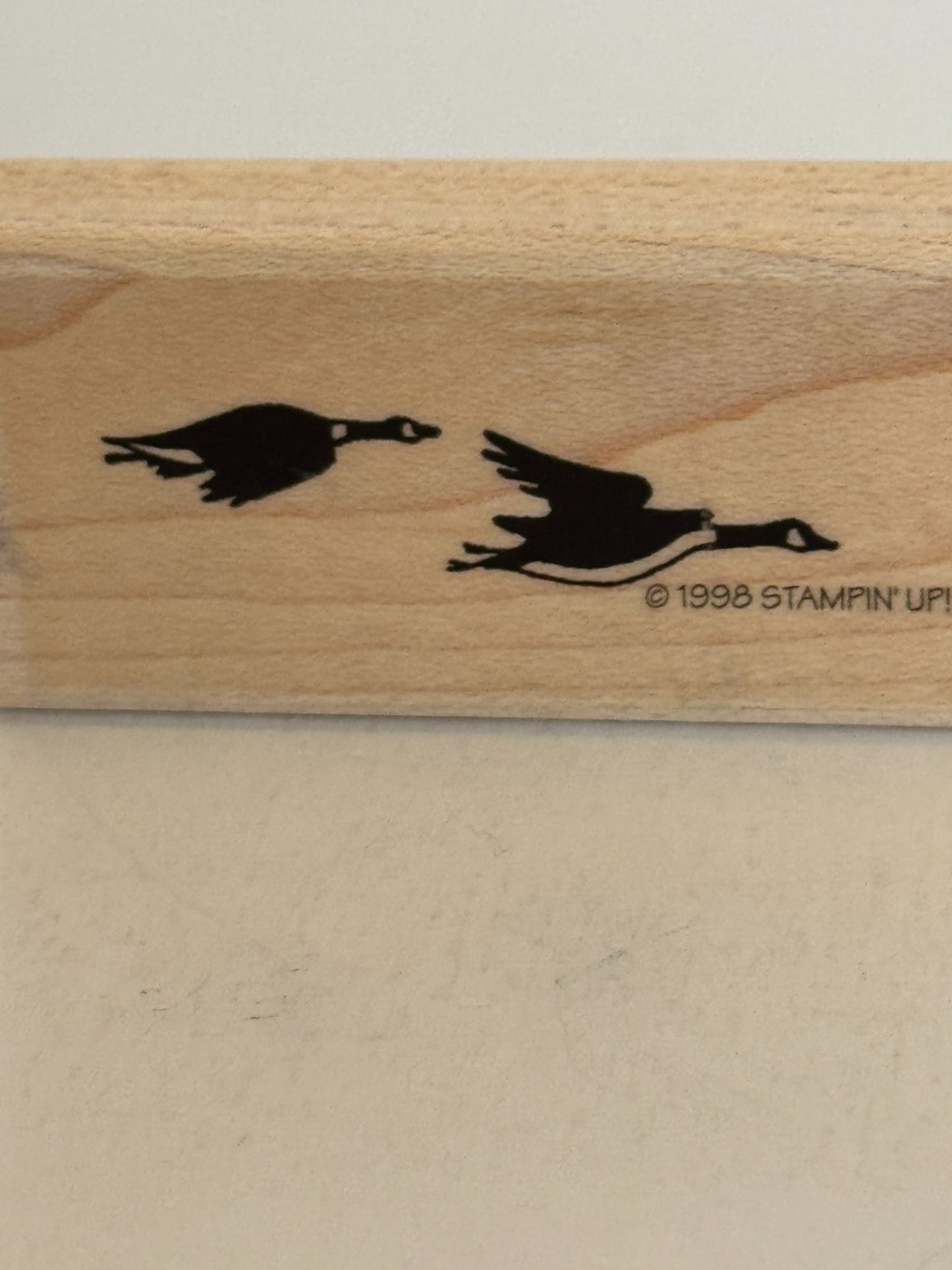 Stampin Up Rubber Stamp Canadian Geese Flying Border Nature Sky Card Making Art