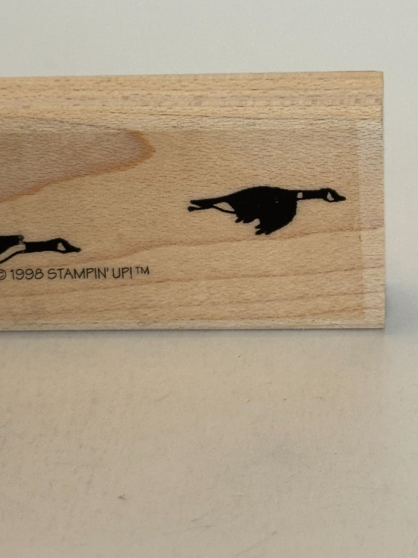 Stampin Up Rubber Stamp Canadian Geese Flying Border Nature Sky Card Making Art