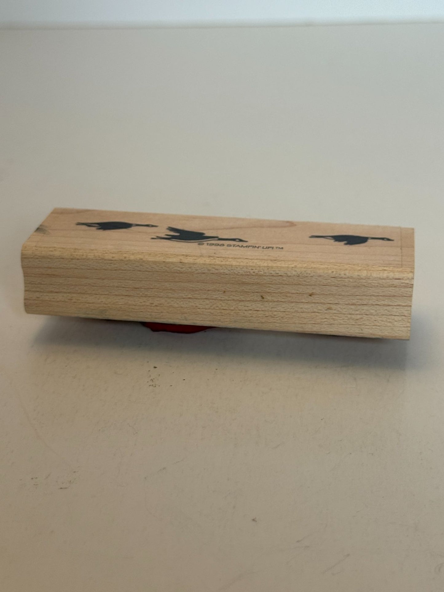 Stampin Up Rubber Stamp Canadian Geese Flying Border Nature Sky Card Making Art