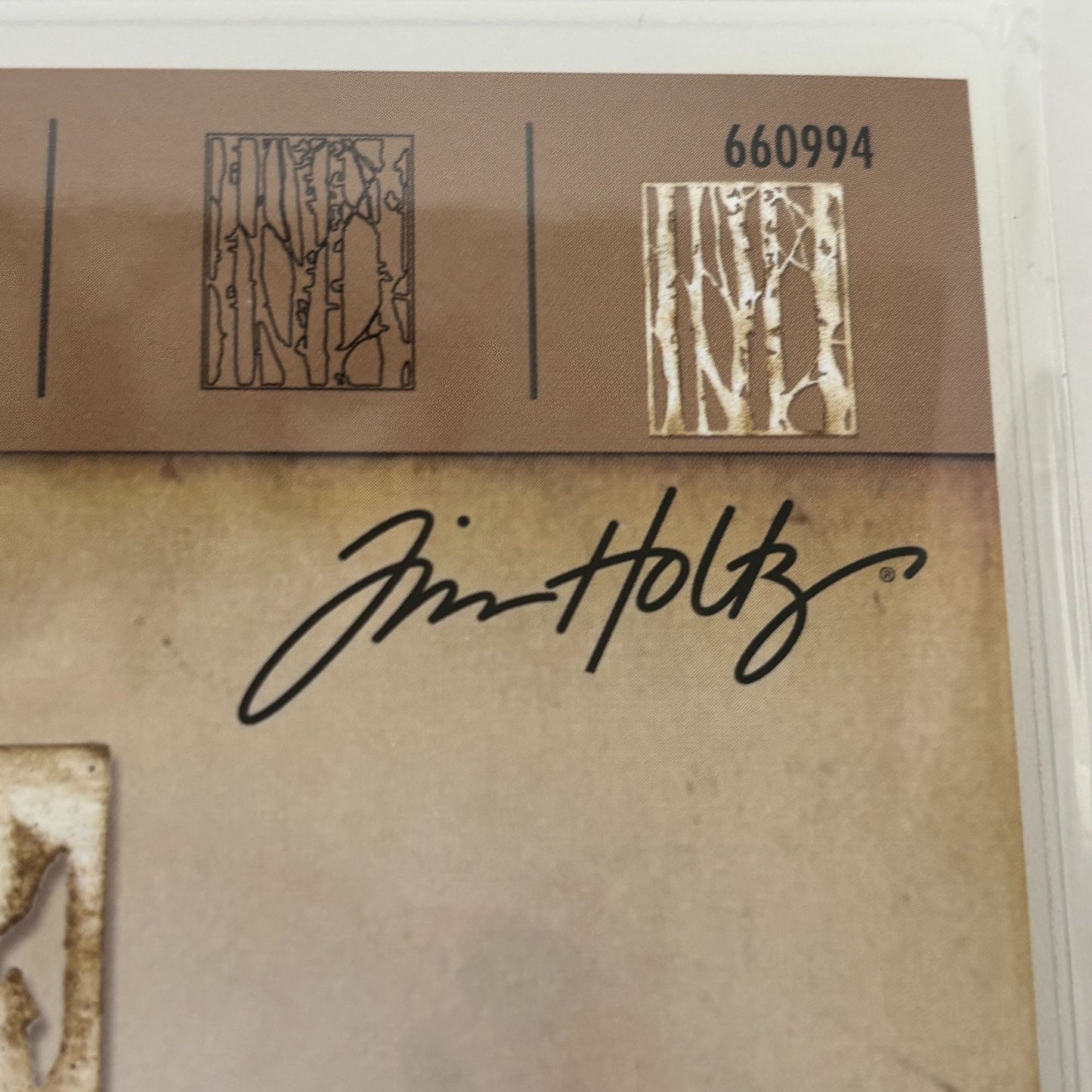 Sizzix Tim Holtz Birch Trees Thinlits Die 660994 Woodland Background Card Making Winter Scrapbooking