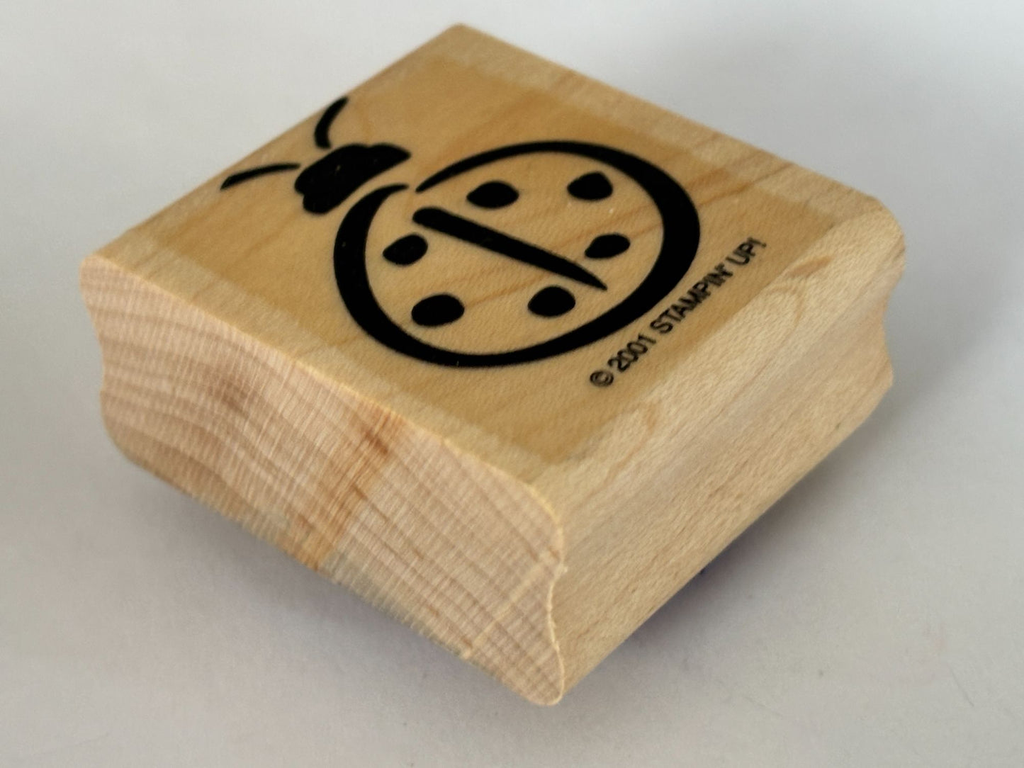Stampin Up Rubber Stamp Ladybug Spring Garden Bug Scrapbooking Cardmaking Crafts