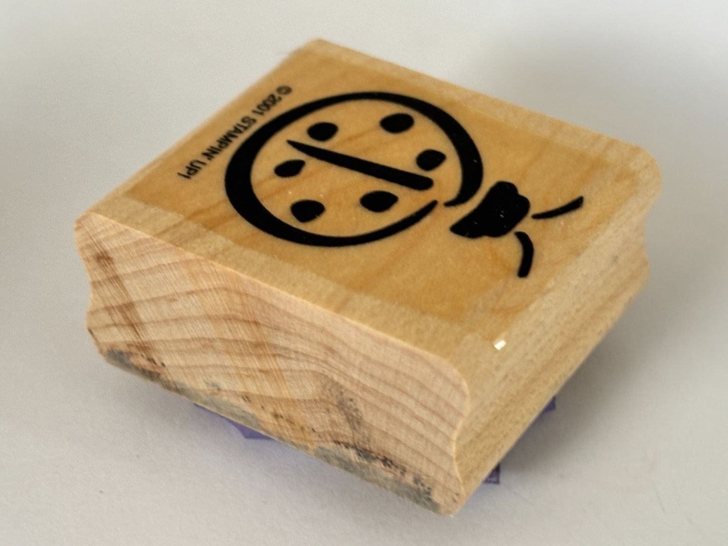 Stampin Up Rubber Stamp Ladybug Spring Garden Bug Scrapbooking Cardmaking Crafts