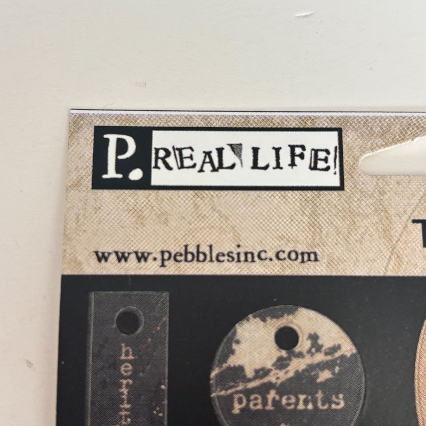 Pebbles Real Life Itty Bitty Family Tags Cardstock Die-Cut Stickers Scrapbooking Labels Junk Journaling