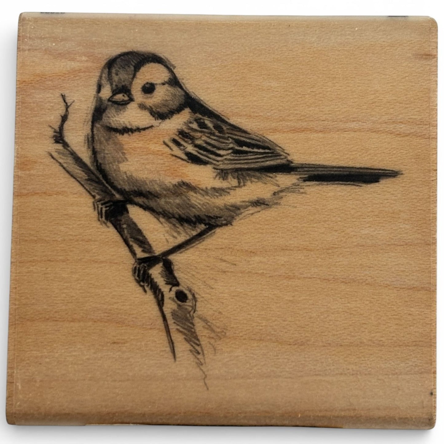 Inkadinkado Bird Rubber Stamp Woodland Animal Tree Branch Nature Wood Mounted Craft