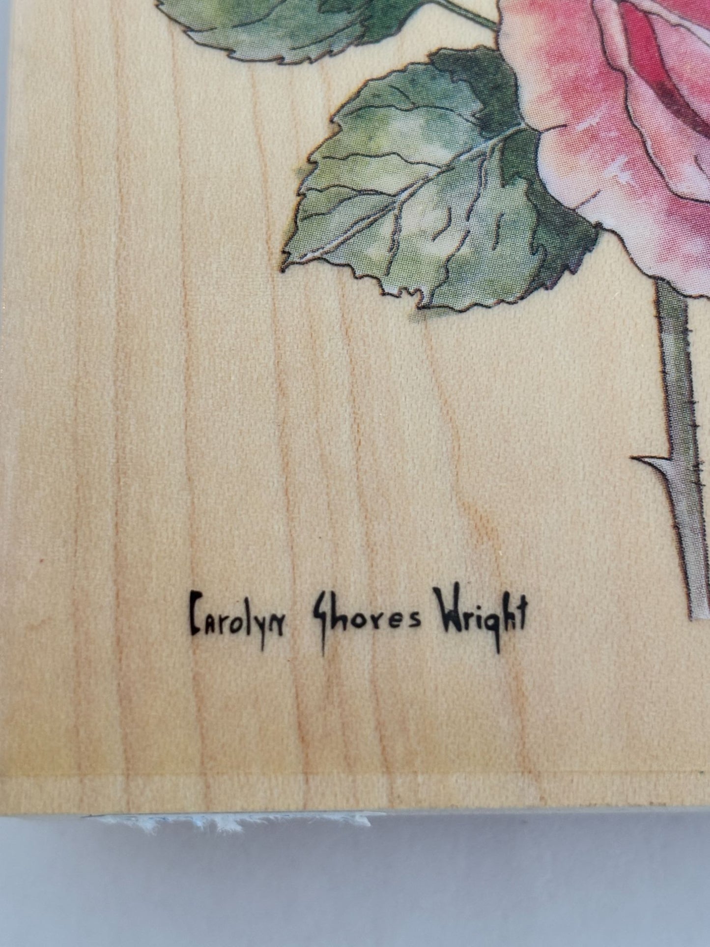 Stamps Happen Rubber Stamp English Rose Long Stem Carolyn Shores Wright Big Wood