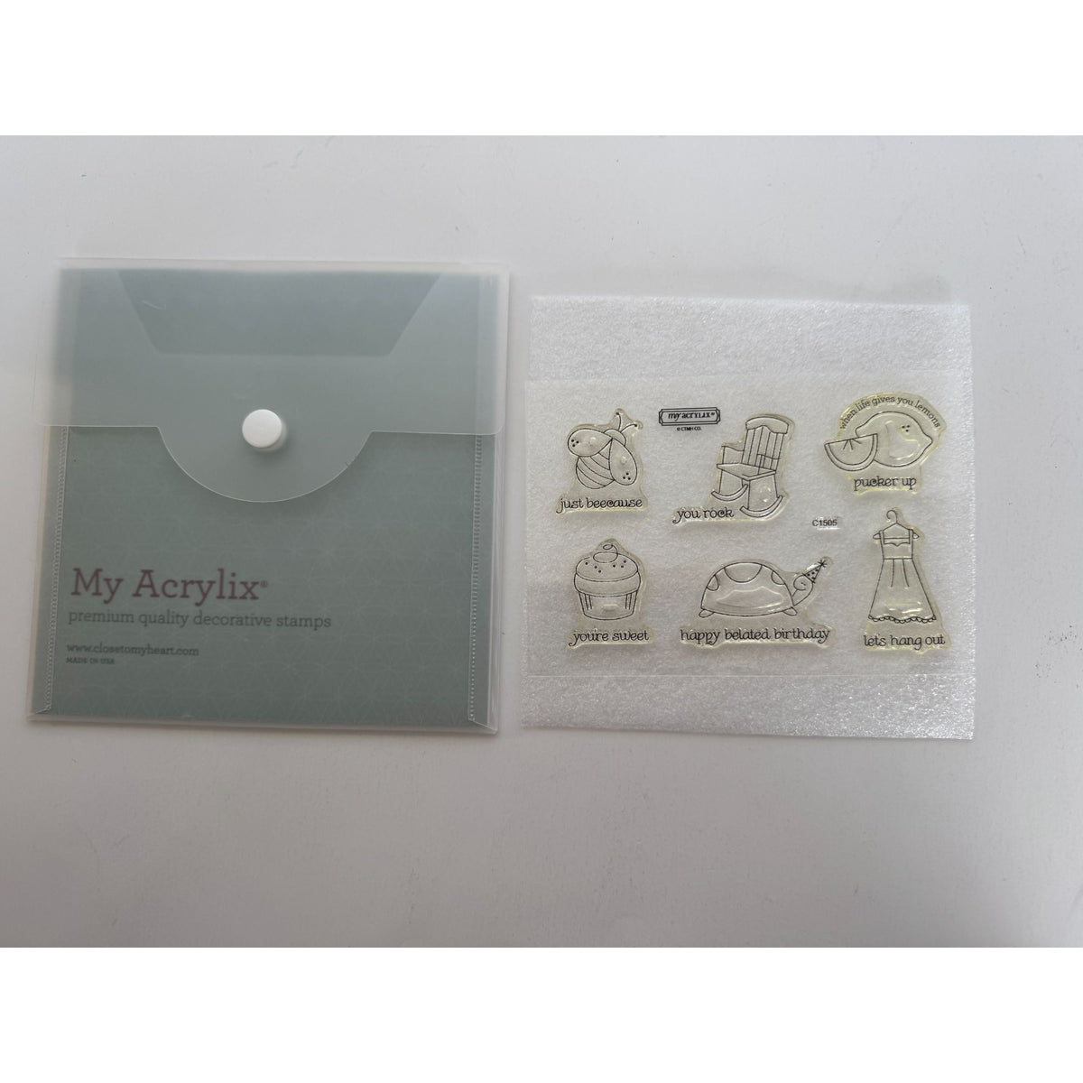CTMH My Acrylix Acrylic Stamp Set Pun Fun Funny Belated Birthday Turtle Bee Cake