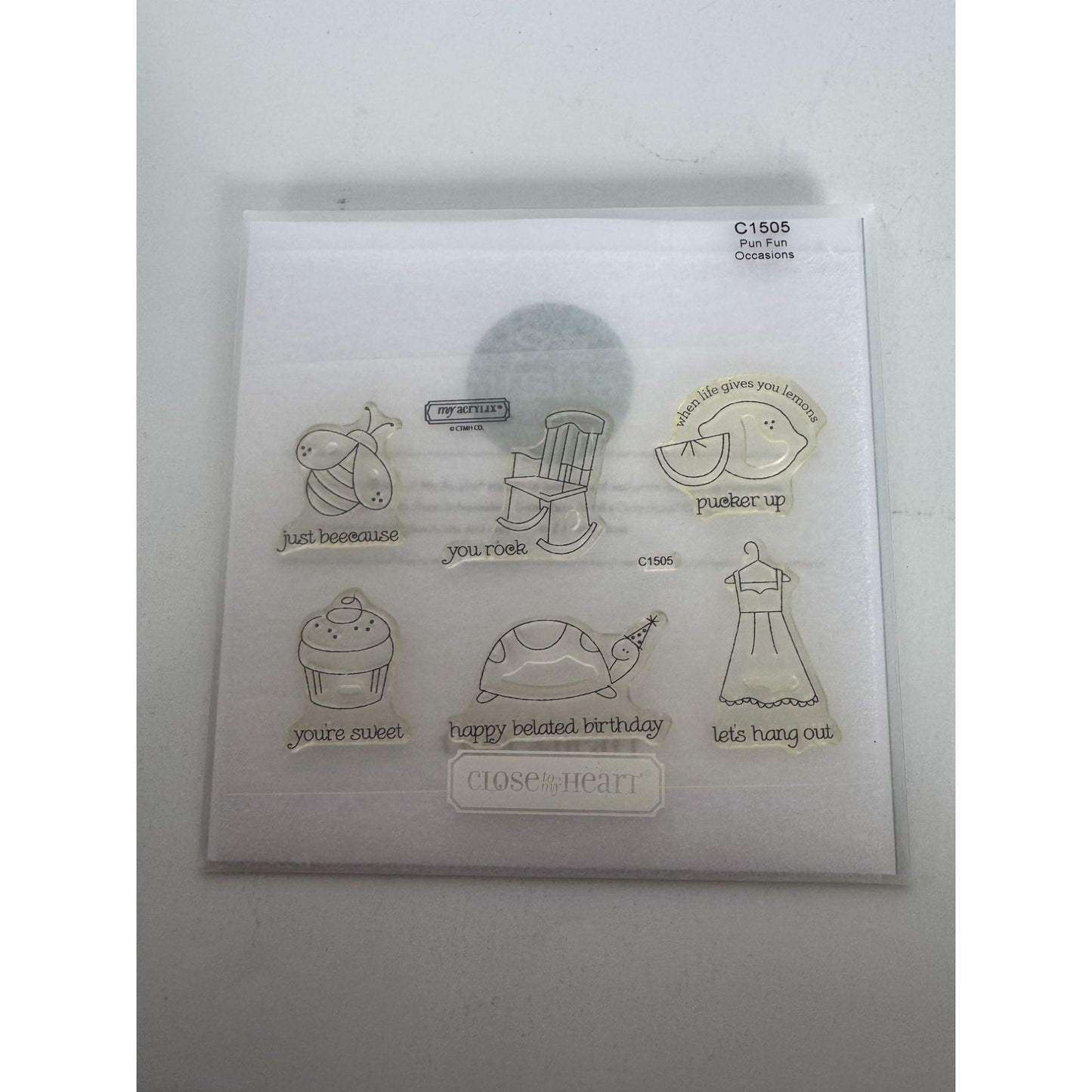 CTMH My Acrylix Acrylic Stamp Set Pun Fun Funny Belated Birthday Turtle Bee Cake