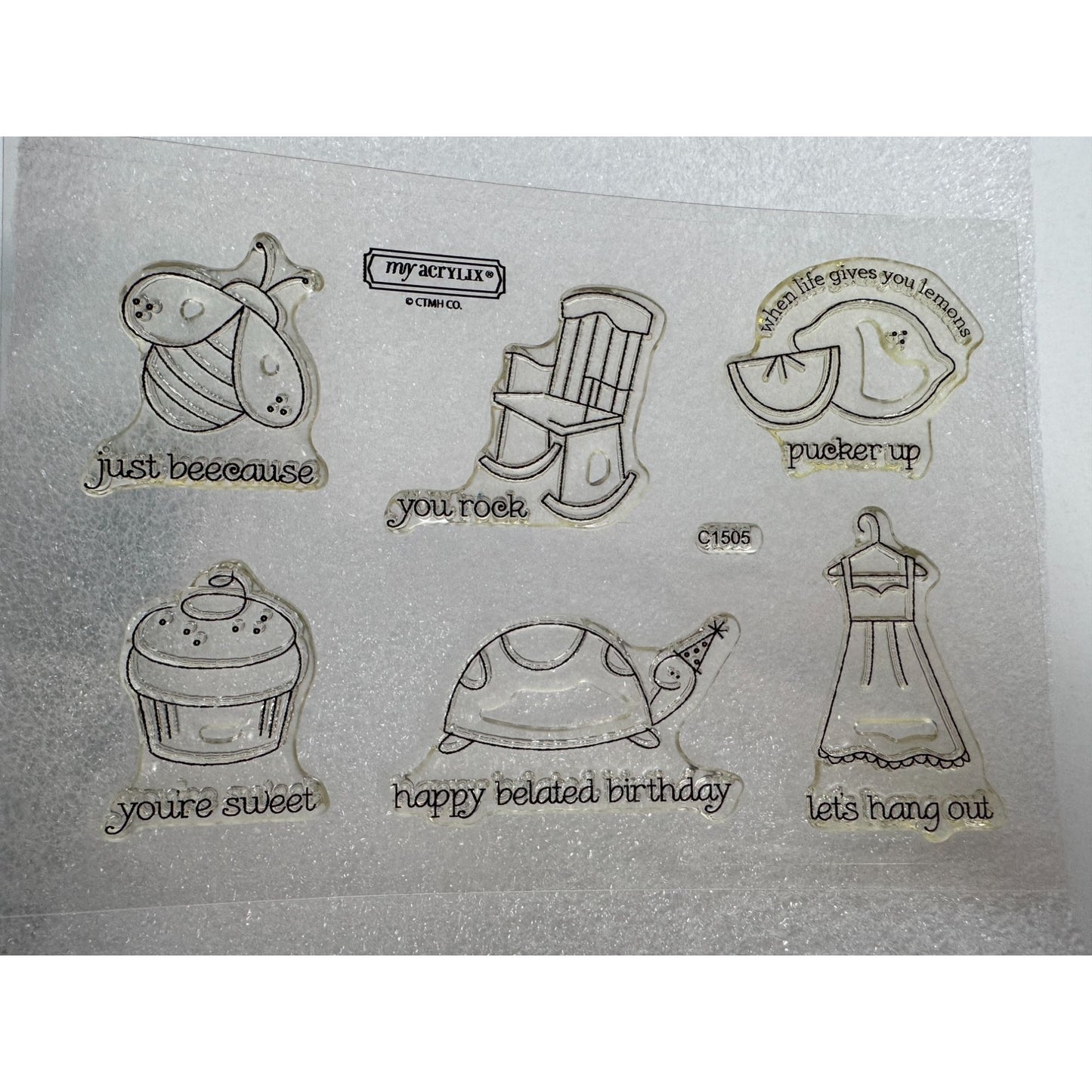 CTMH My Acrylix Acrylic Stamp Set Pun Fun Funny Belated Birthday Turtle Bee Cake