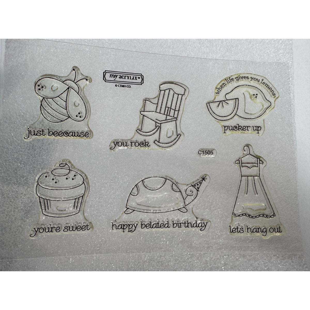 CTMH My Acrylix Acrylic Stamp Set Pun Fun Funny Belated Birthday Turtle Bee Cake