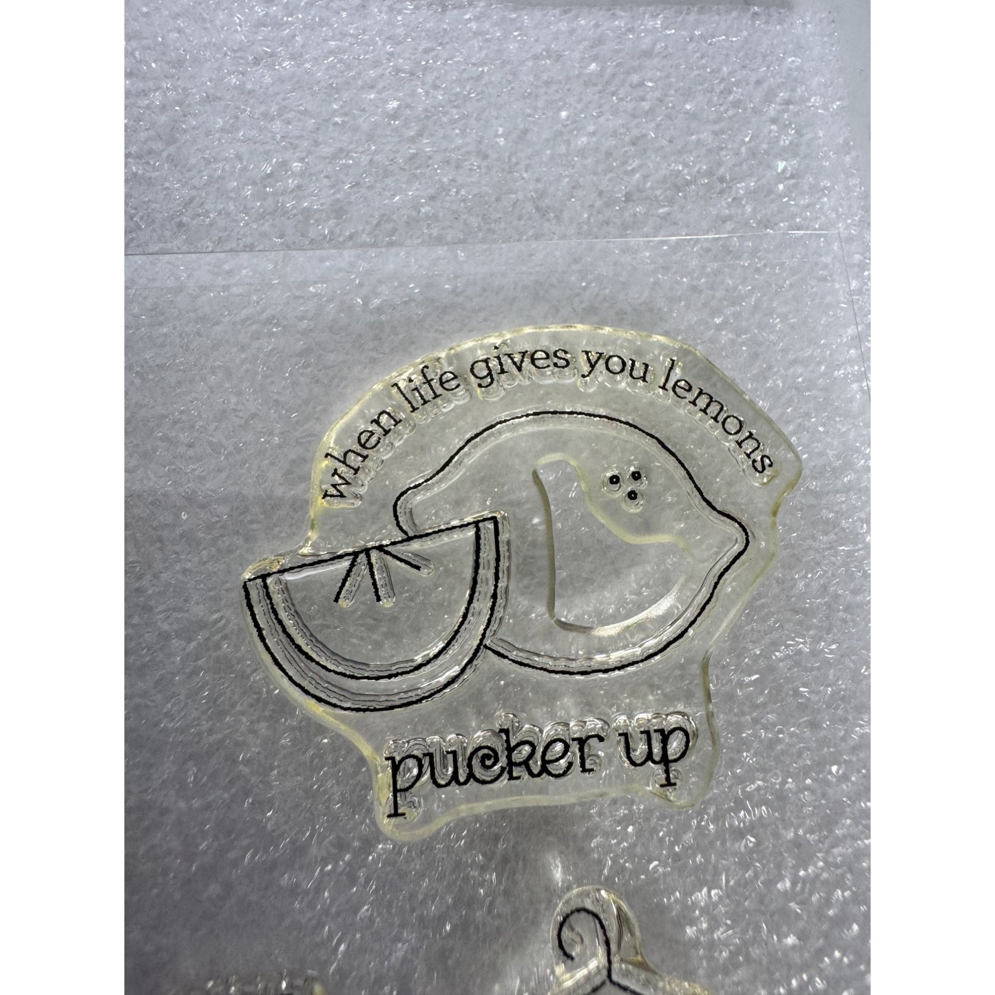 CTMH My Acrylix Acrylic Stamp Set Pun Fun Funny Belated Birthday Turtle Bee Cake