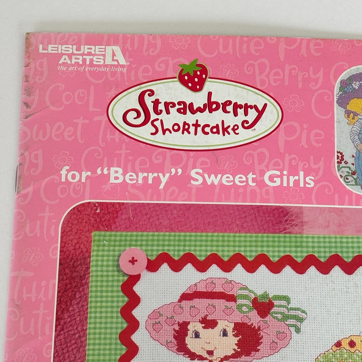 Strawberry Shortcake Cross Stitch Pattern Booklet Leisure Arts Berry Sweet Girls 2004