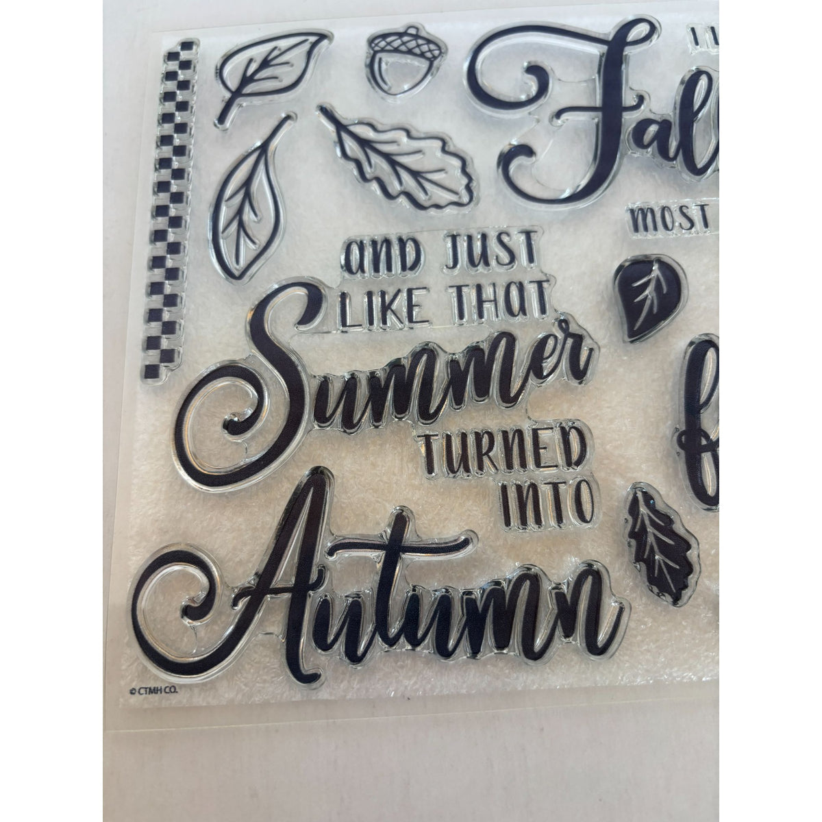 CTMH Acrylic Stamp Set Autumn is in the Air Summer turned into Fall Acorn Leaf