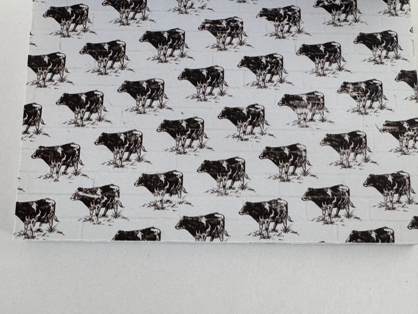 The Paper Studio Blue Barn Farm 68-Sheet Cardstock Pad 4.5x6.5 Scrapbook Partial