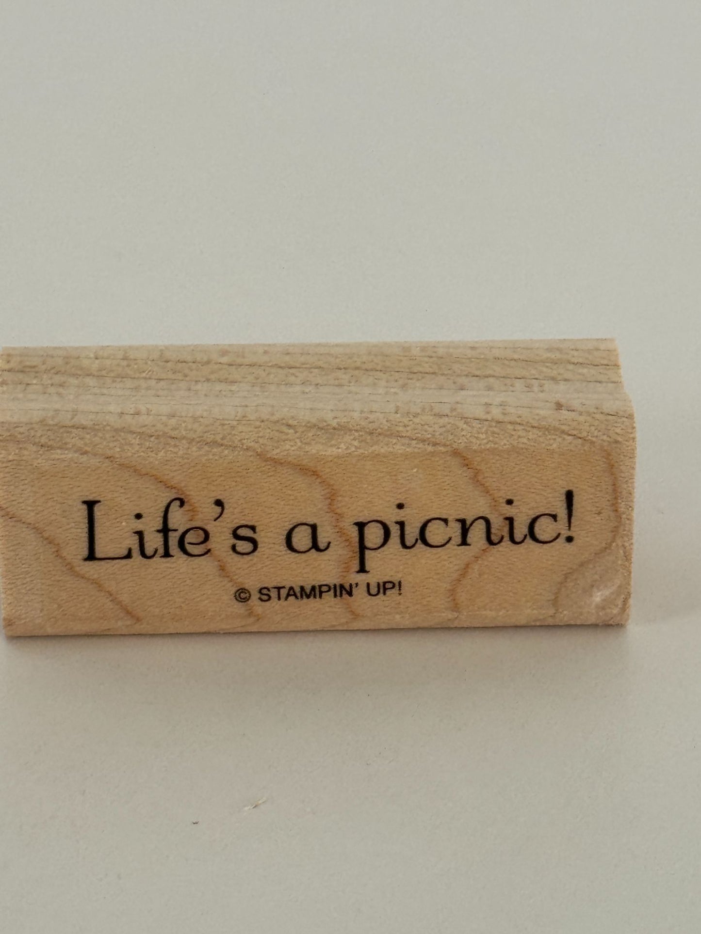 Stampin Up Rubber Stamp Lifes A Picnic Card Making Words Sentiment Cheerful Note
