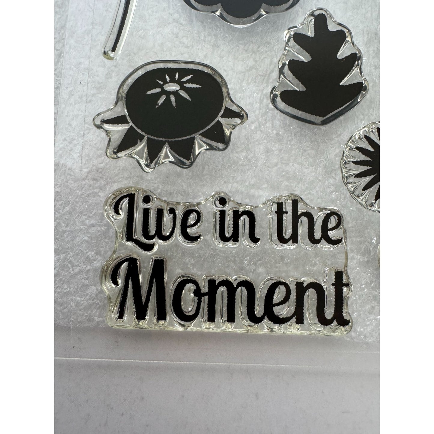 CTMH My Acrylix Acrylic Stamp Set Lifetime of Happiness Live in the Moment C1589